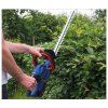 58597 m02